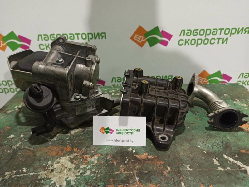 изображение_viber_2022-02-10_14-48-55-411