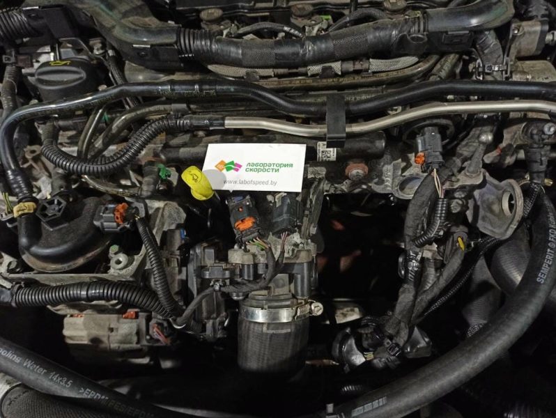 изображение_viber_2022-02-10_14-48-55-703